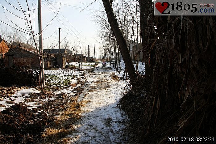 冬天村里面的道路为了便于行走，好多水洼地被铺上了稻草